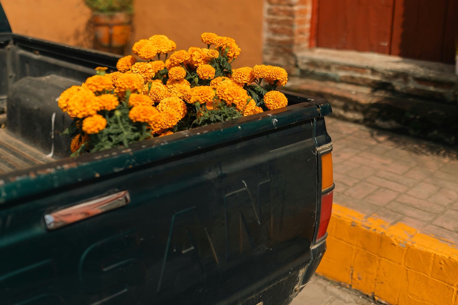 A bouquet of marigolds in the back of a truck, inspiration for the 2026 colours palette