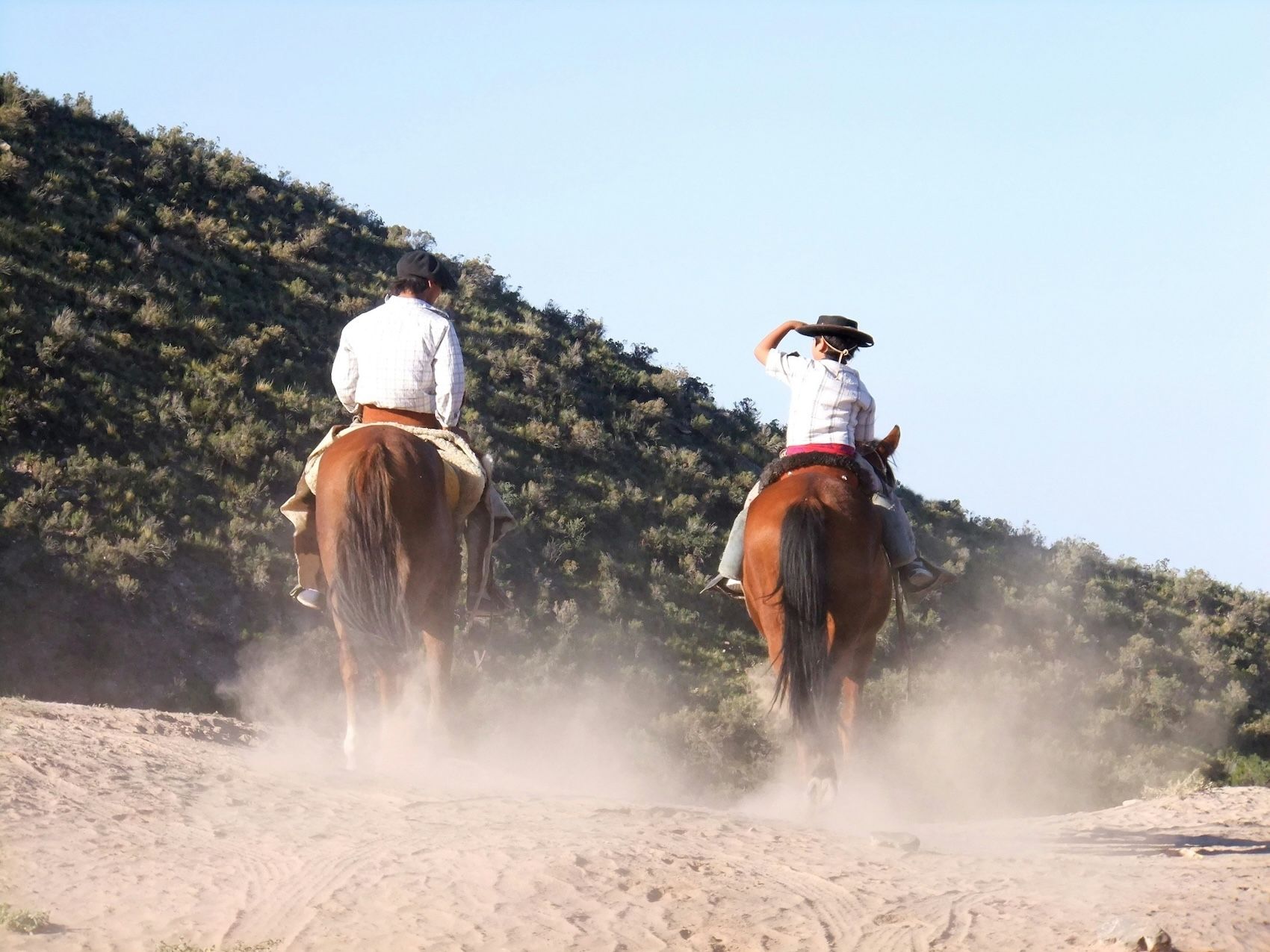 argentinian gaucho