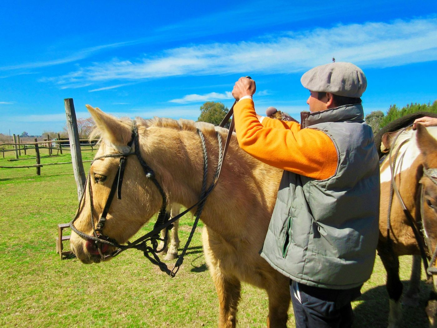 Argentinian Gaucho - EN  5.jpg