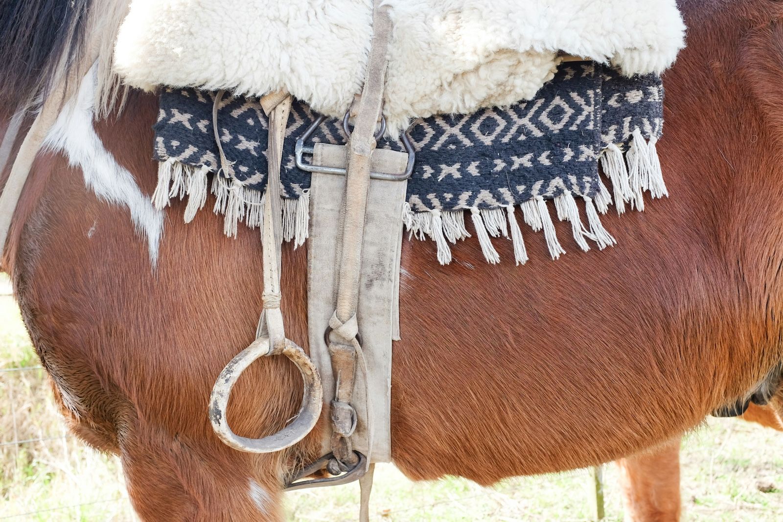 Argentinian Gaucho - EN  7.jpg
