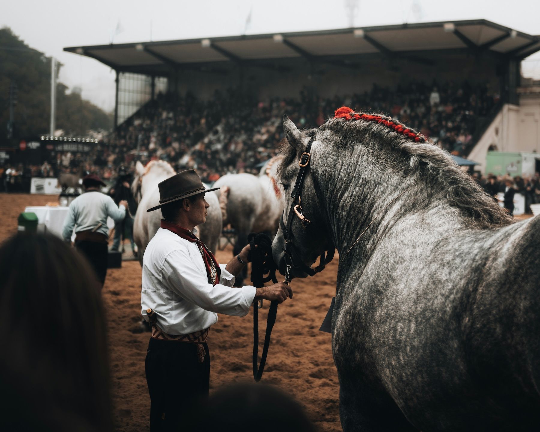 Argentinian Gaucho - EN  8.jpg
