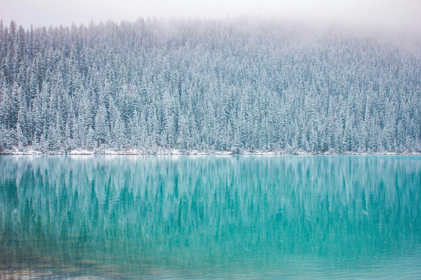 Lake Louise in Banff National Park, Alberta, Canada. The turquoise glacial water is reflecting the surrounding snow-dusted evergreen forest and mountains.