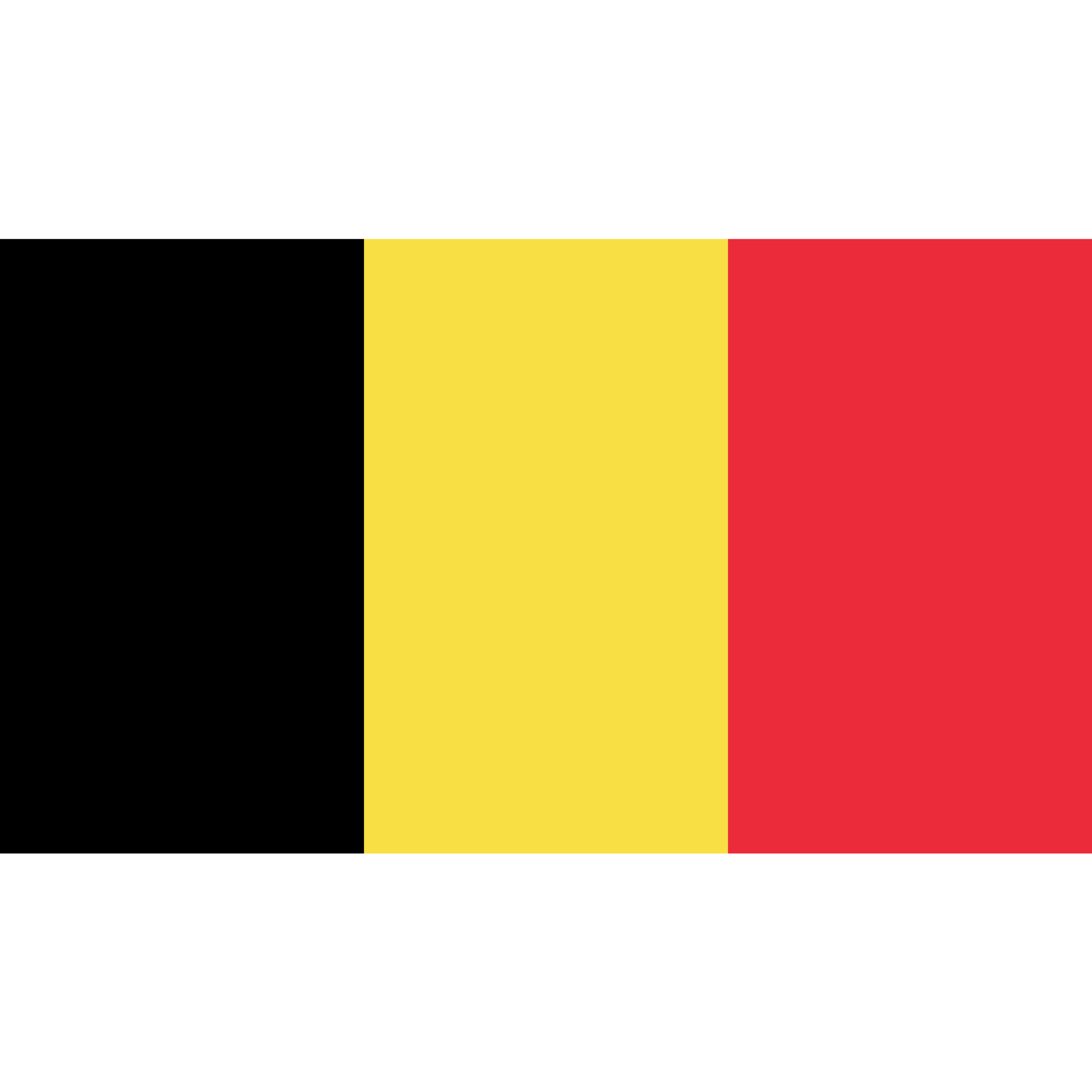 The flag of Belgium consists of three equal vertical stripes in black, yellow, and red.