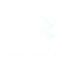 Qatar-Brazil 2014 Year of Culture Logo featuring a stylised letter Q alongside a B.