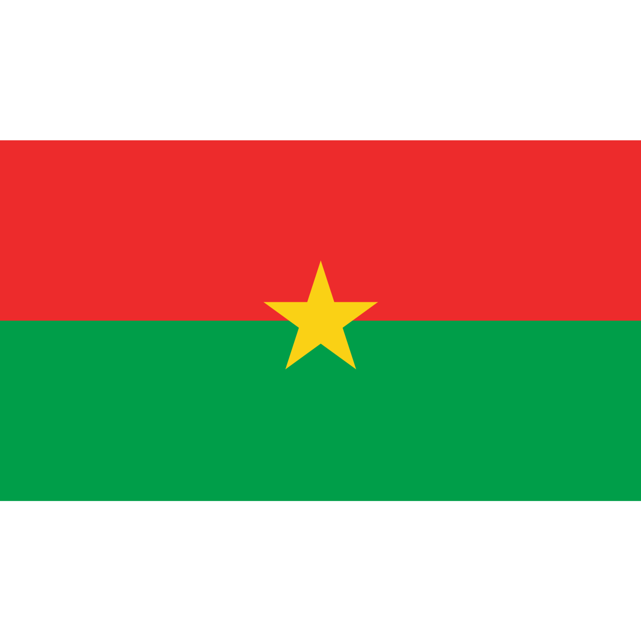 The Burkina Faso flag has 2 equal horizontal bands of red (above) and green, with a yellow five-pointed star in the middle.