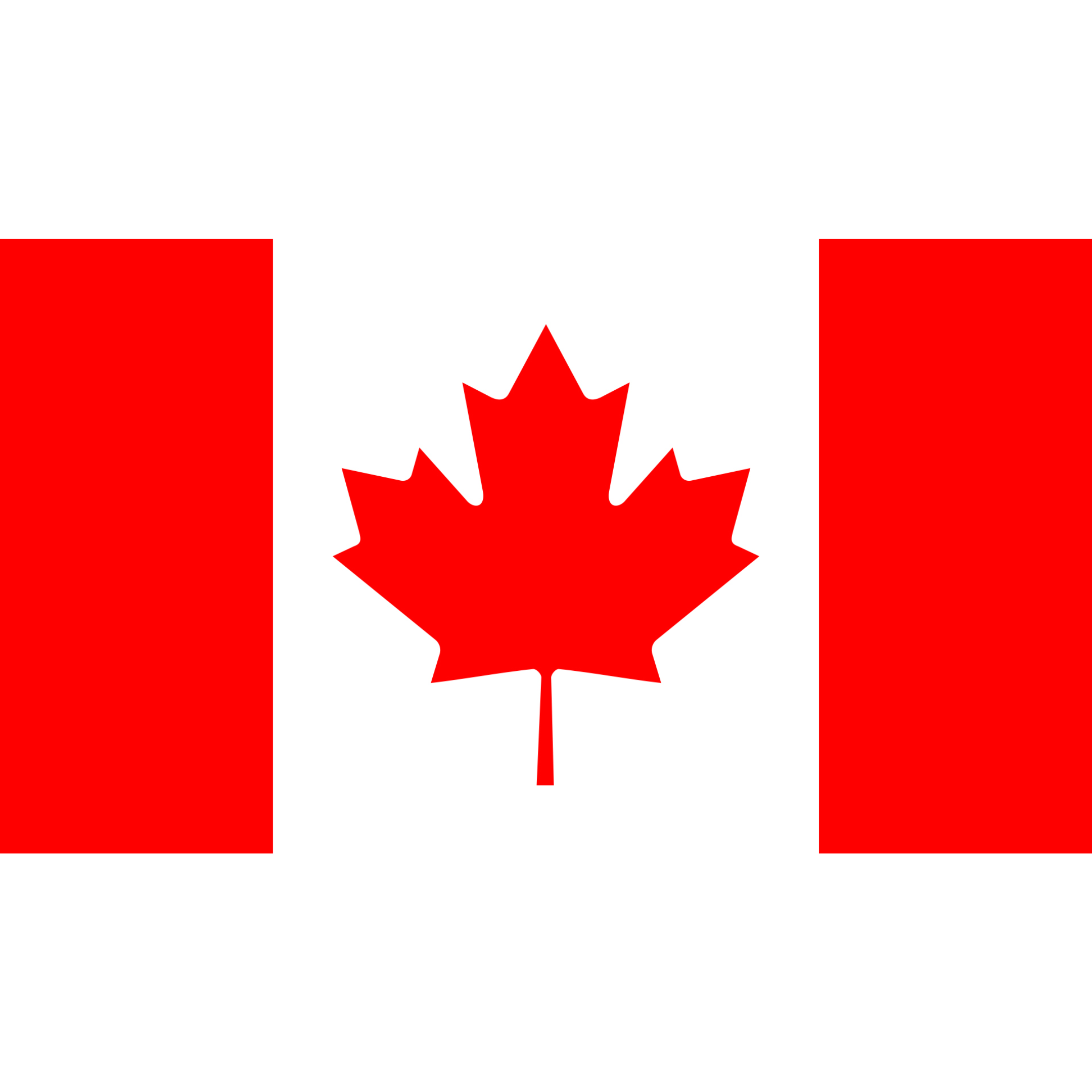 The Canadian flag consists of a red maple leaf in the middle of a white band with red vertical stripes on either side. 