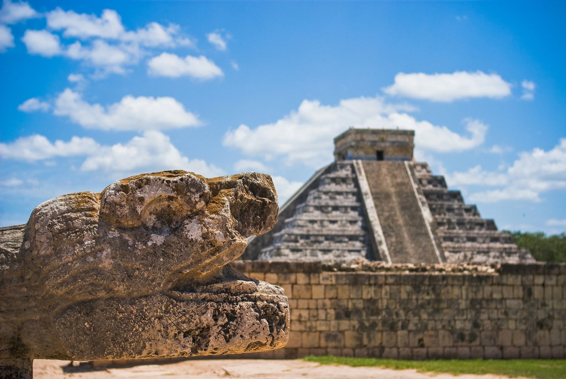 Discover Qatar Canada and Mexico 2026
