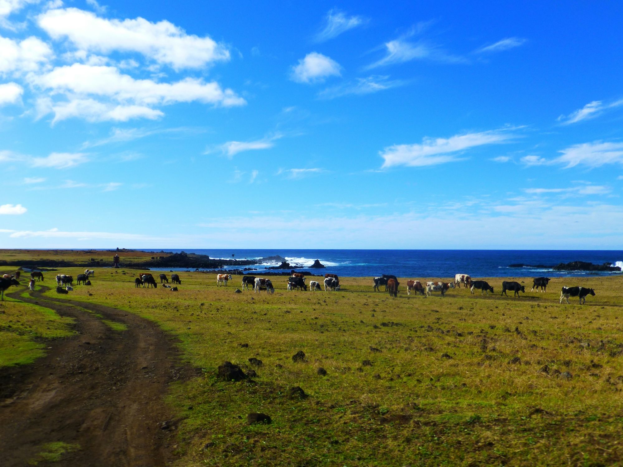 Easter Island Article -  AR 1.jpg