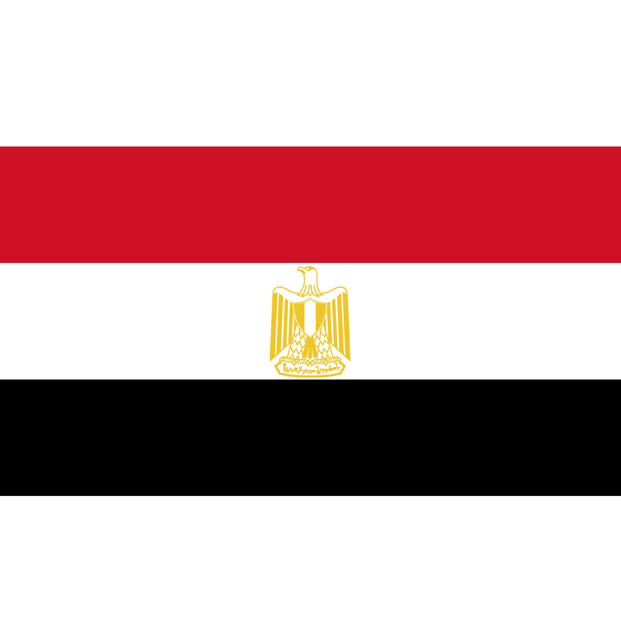 The flag of Egypt has three equal horizontal red, white, and black stripes, with the national emblem (an eagle) in the centre.