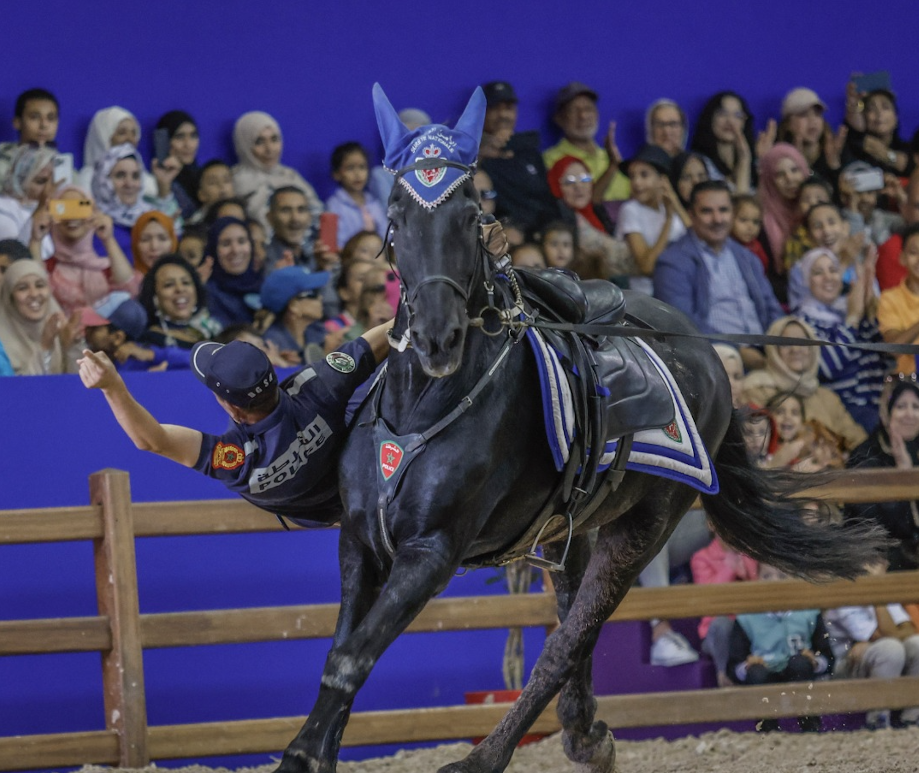 El Jadida Horse Fair (The Salon du Cheval d'El Jadida)