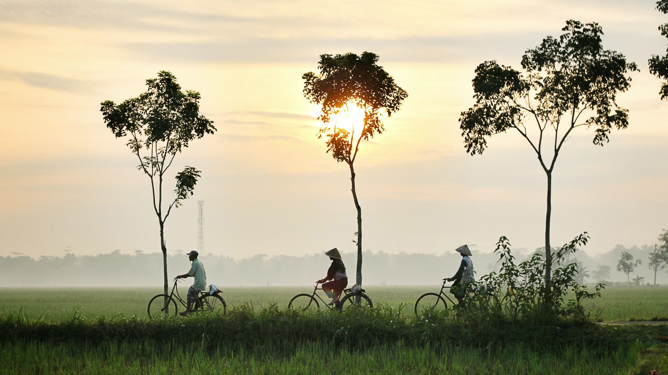 Three people cycle through an Indonesian Landscape. Qatar-Indonesia Photography Journey.
