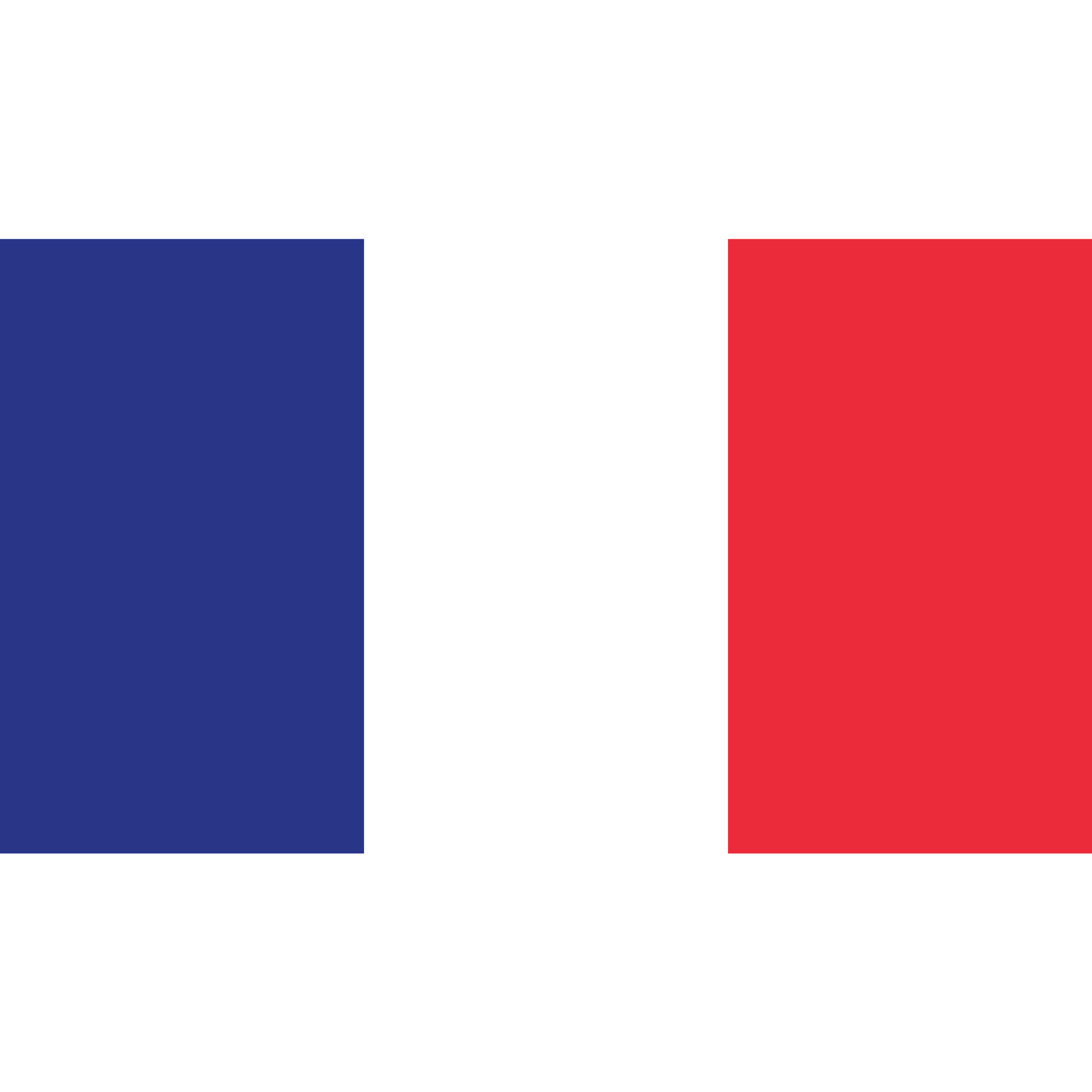 The French flag is a tricolour with three vertical bands in blue, white, and red.