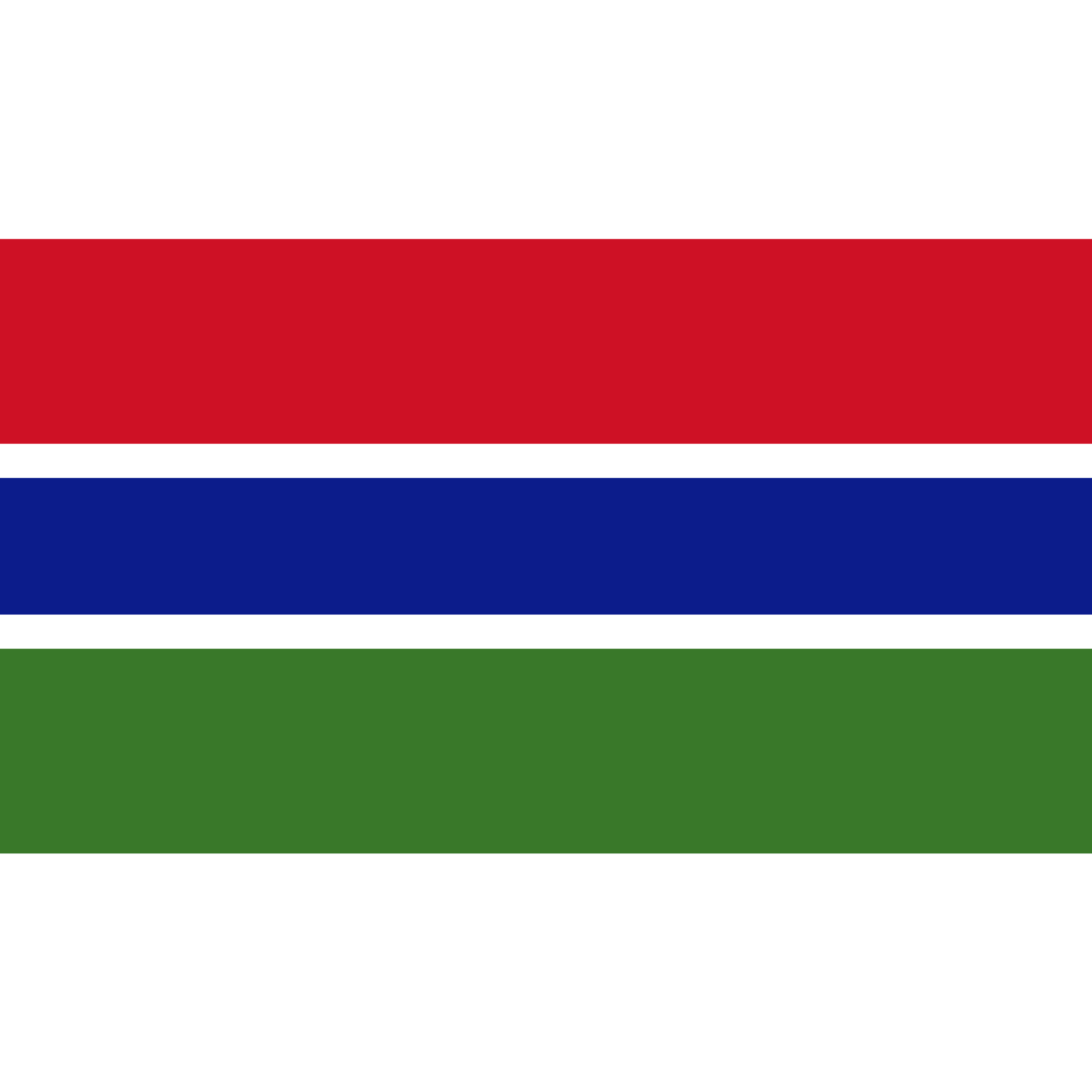 The Gambia flag is made up of 3 horizontal red, blue and green bands, separated by 2 thin white lines.