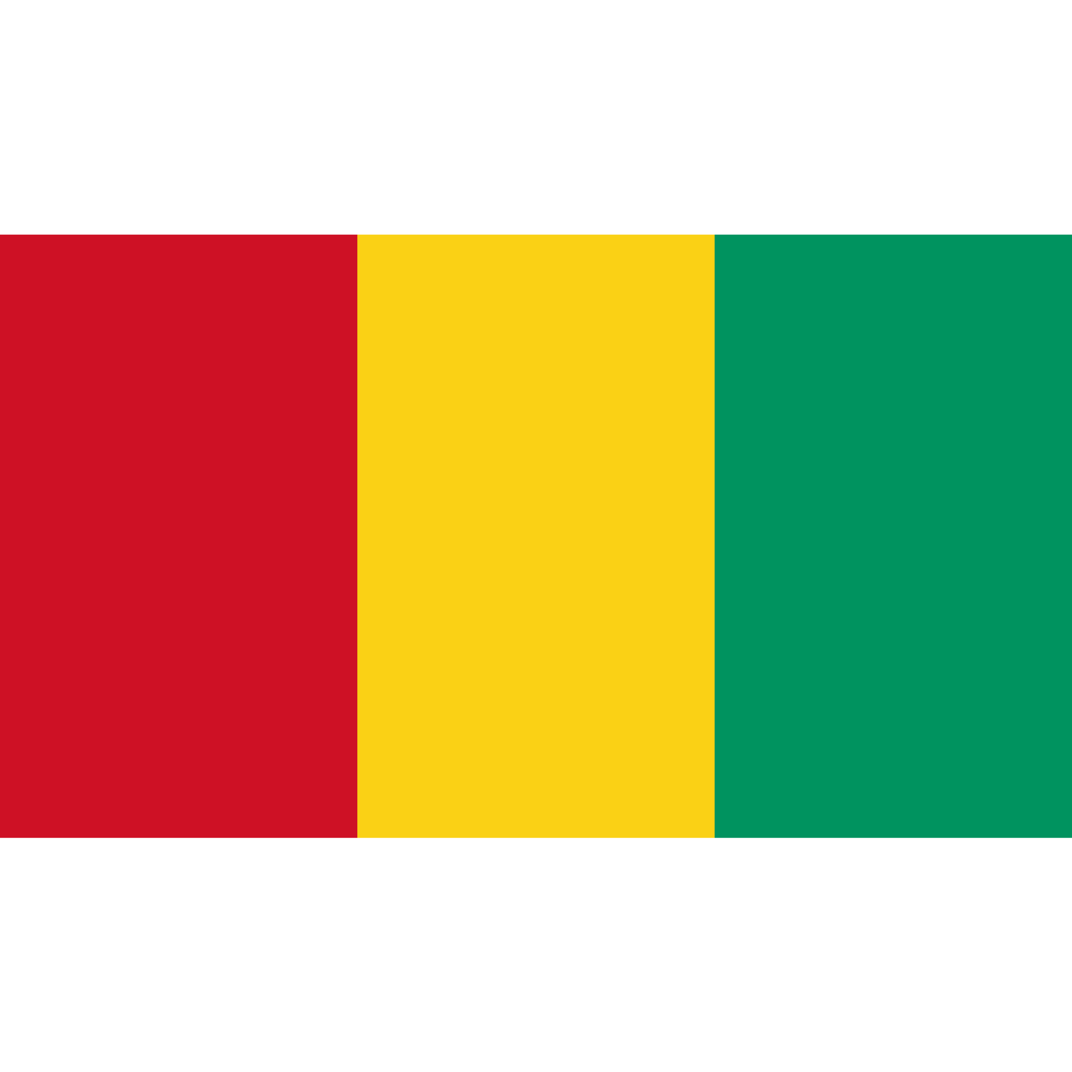 The Guinea-Conakry flag consists of 3 vertical bands in red, yellow and green.