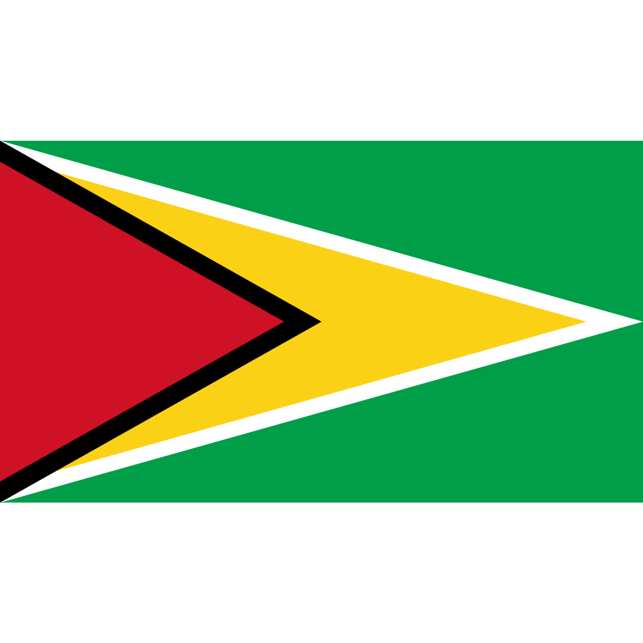The Guyana Flag has a green background with a black edged red triangle and a larger white-edged golden triangle on the left.