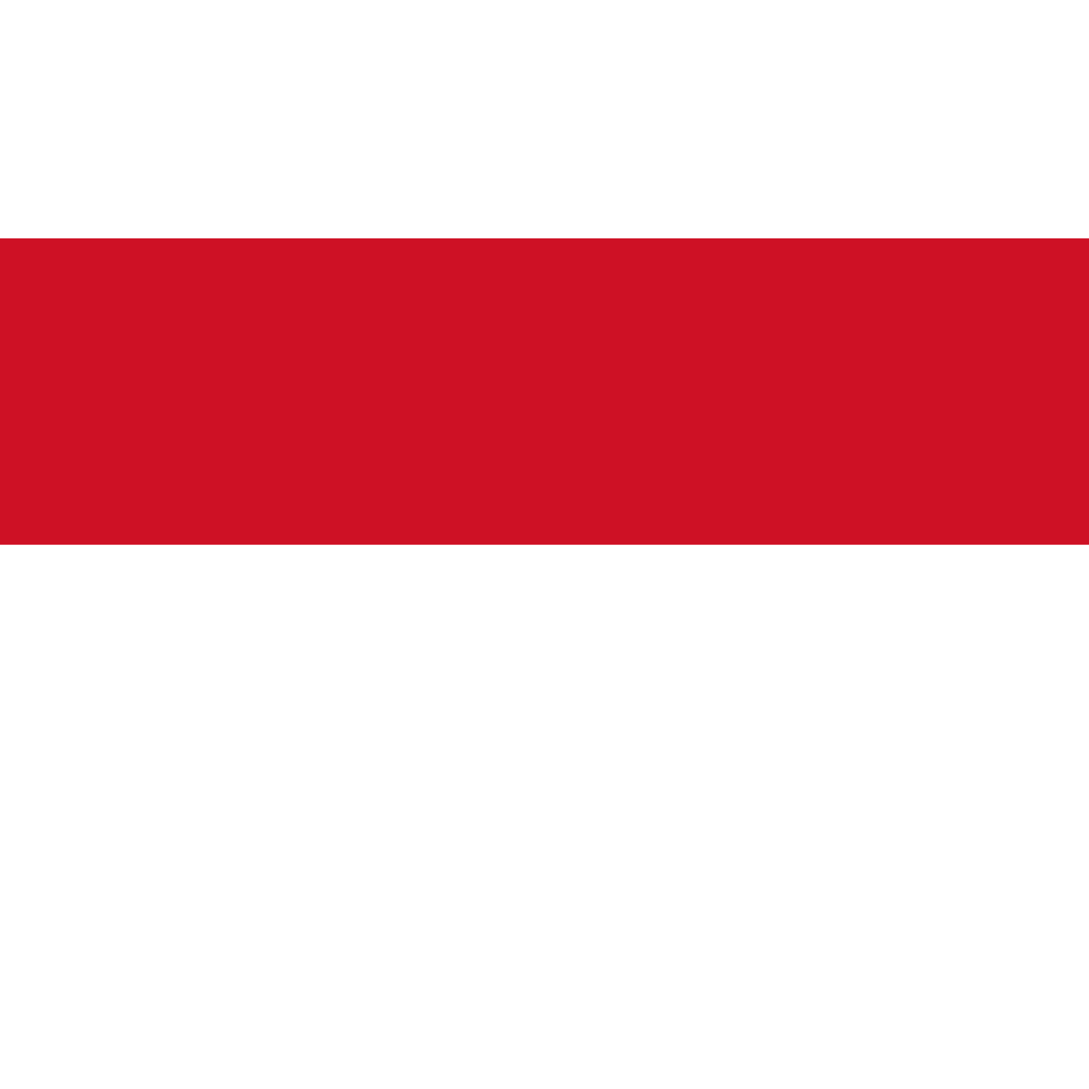 The Indonesian flag is made up of two equal horizontal bands, red on the top half and white on the bottom.