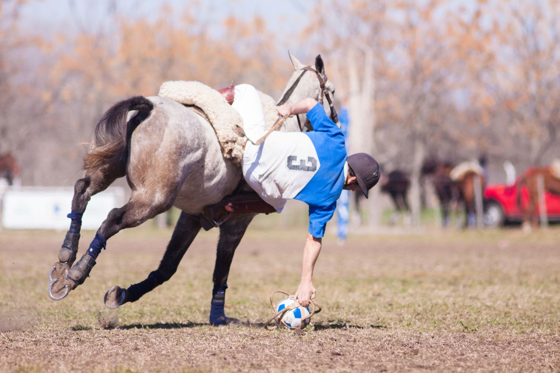 Juego del Pato Horses and Equipment