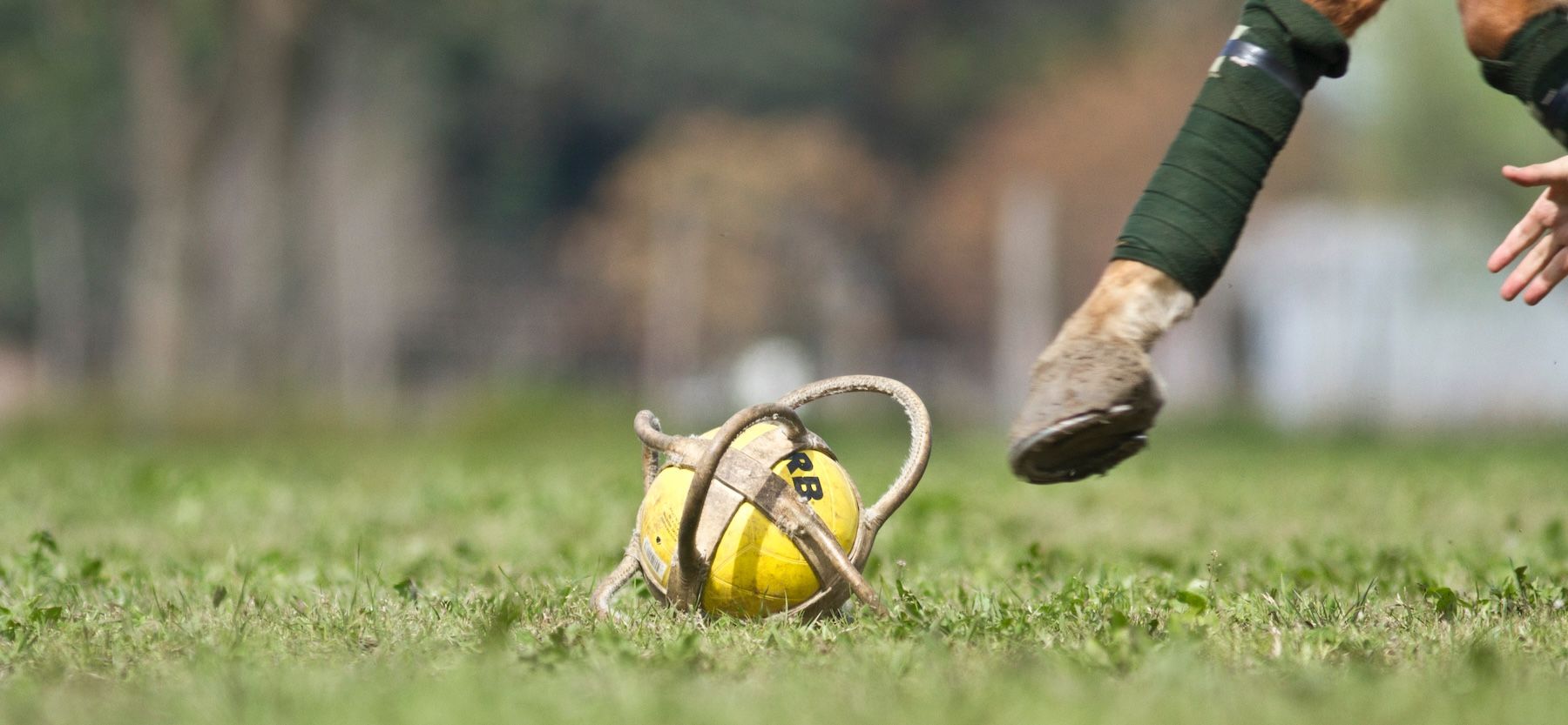 Gameplay: Understanding Pato