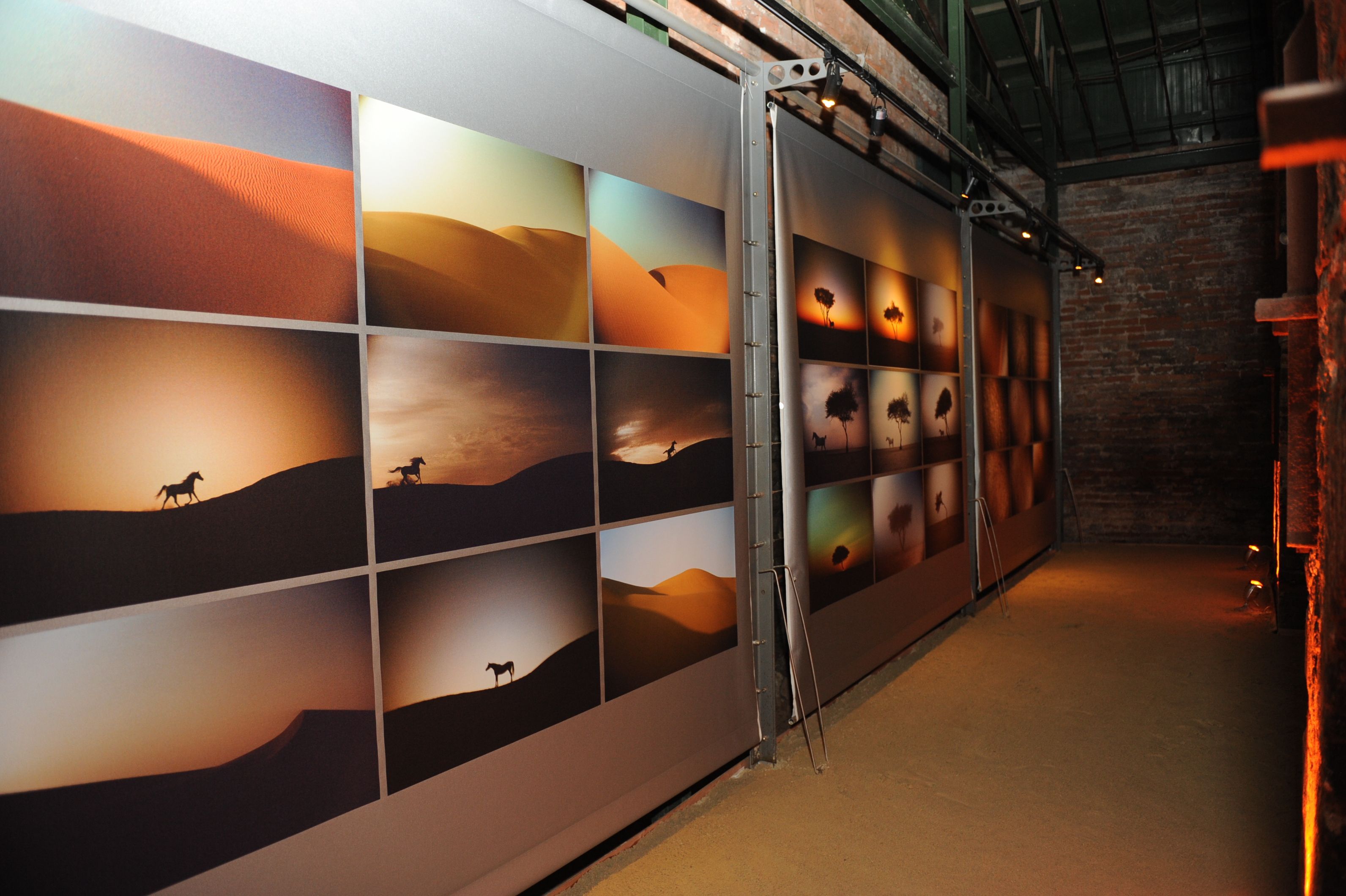 A gallery space with painted photographs along the wall, depicting a horse running through the desert.