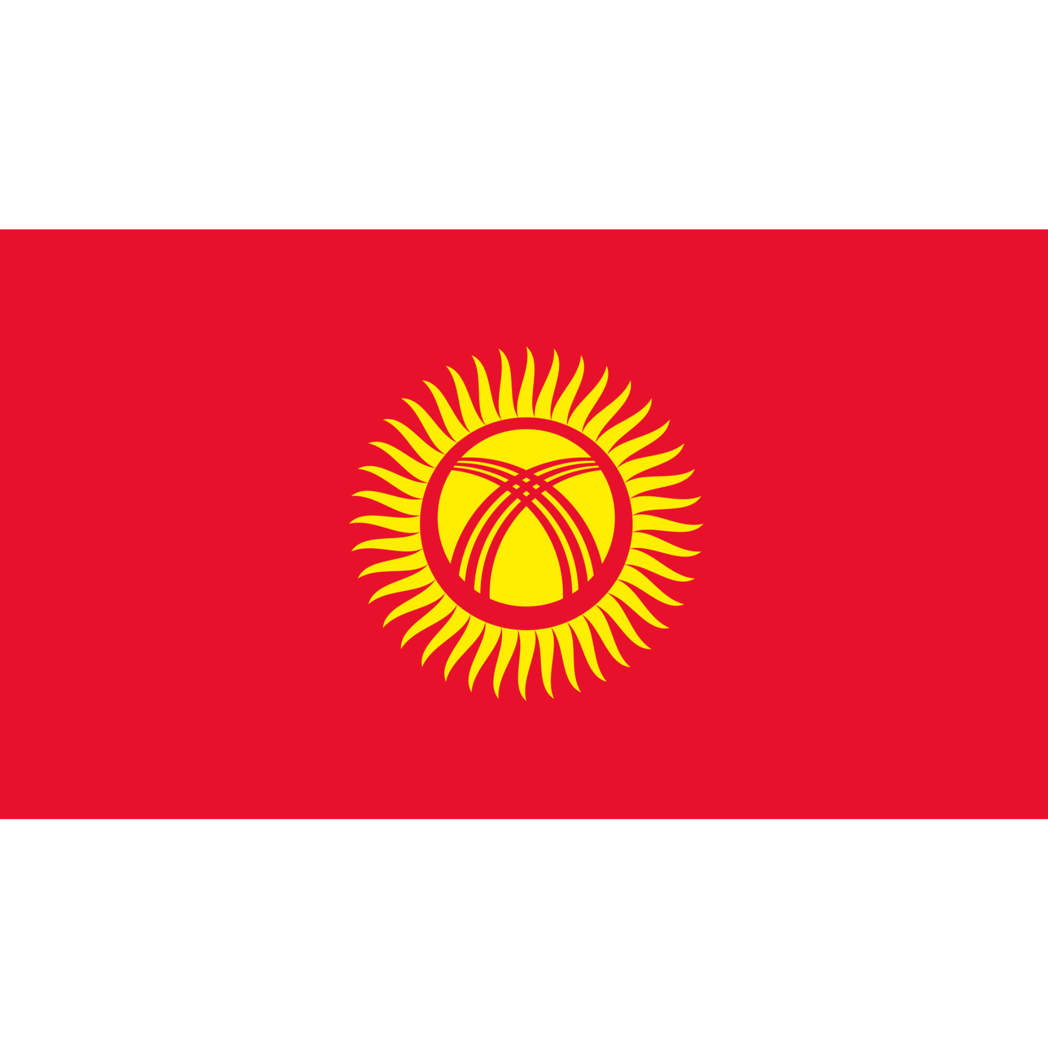 The flag of Kyrgyzstan has a red background with a yellow sun in the centre with 40 rays, crossed by two sets of three lines.