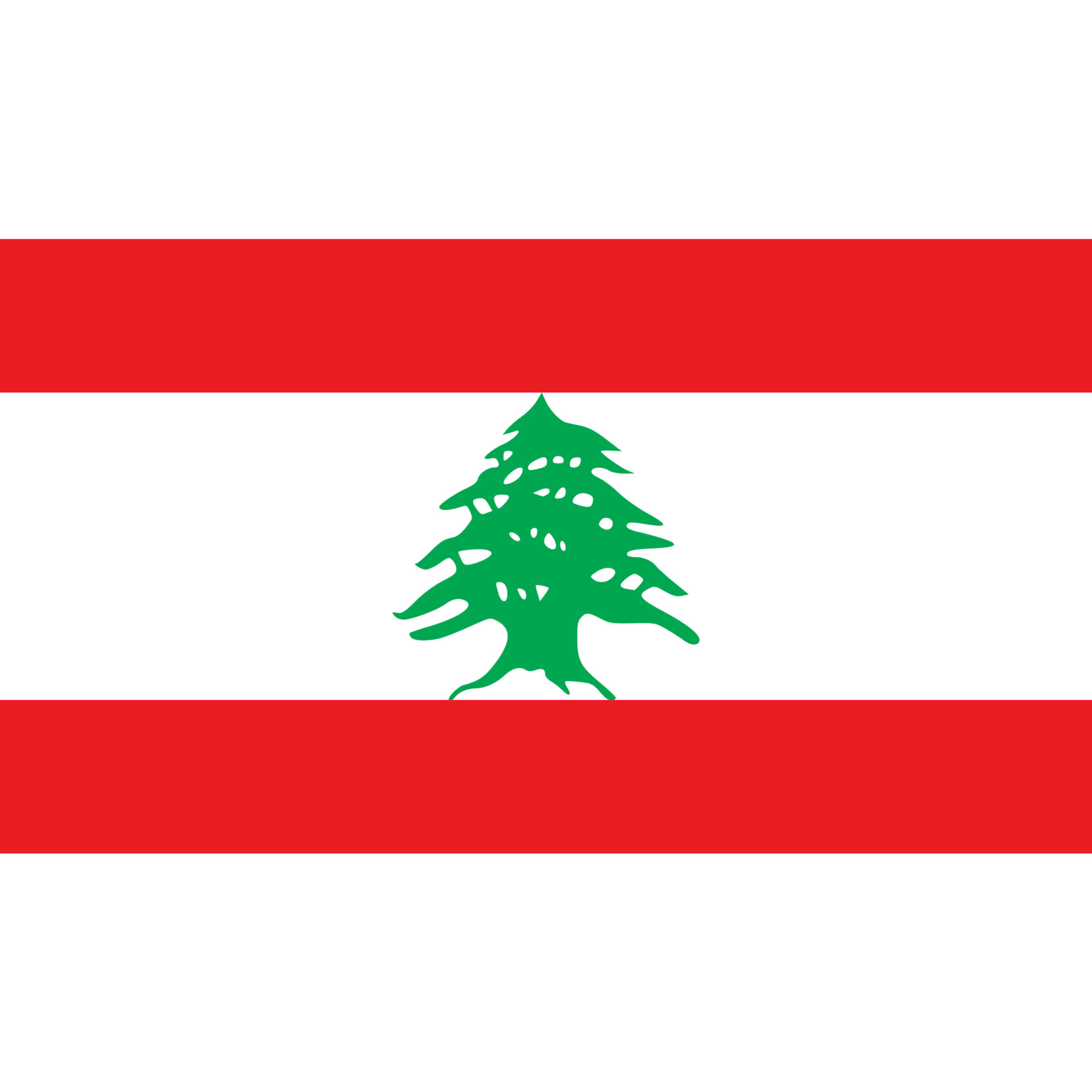 The flag of Lebanon has two horizontal red stripes above and below a white band, with a green cedar tree in the middle.