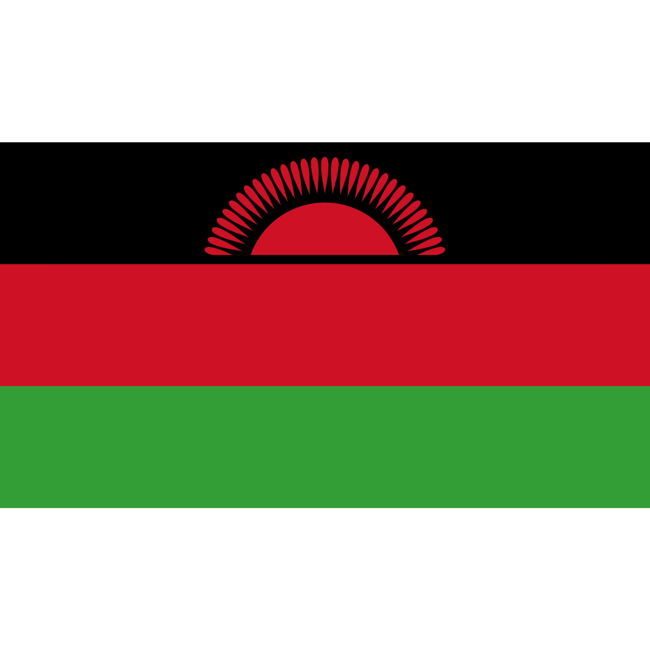 The Malawi Flag consists of 3 horizontal black, red and green bands, with a red rising sun centred on the top black band.