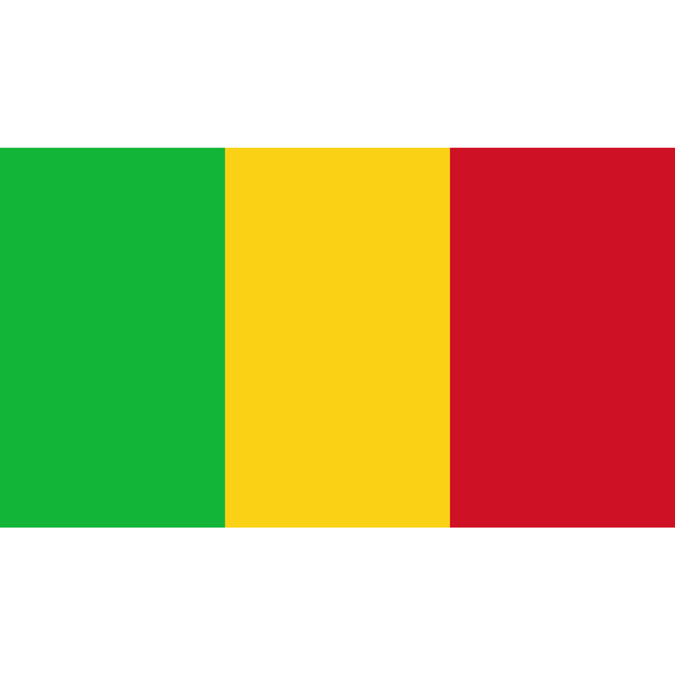 The flag of Mali has three equal vertical bands in green, gold and red.