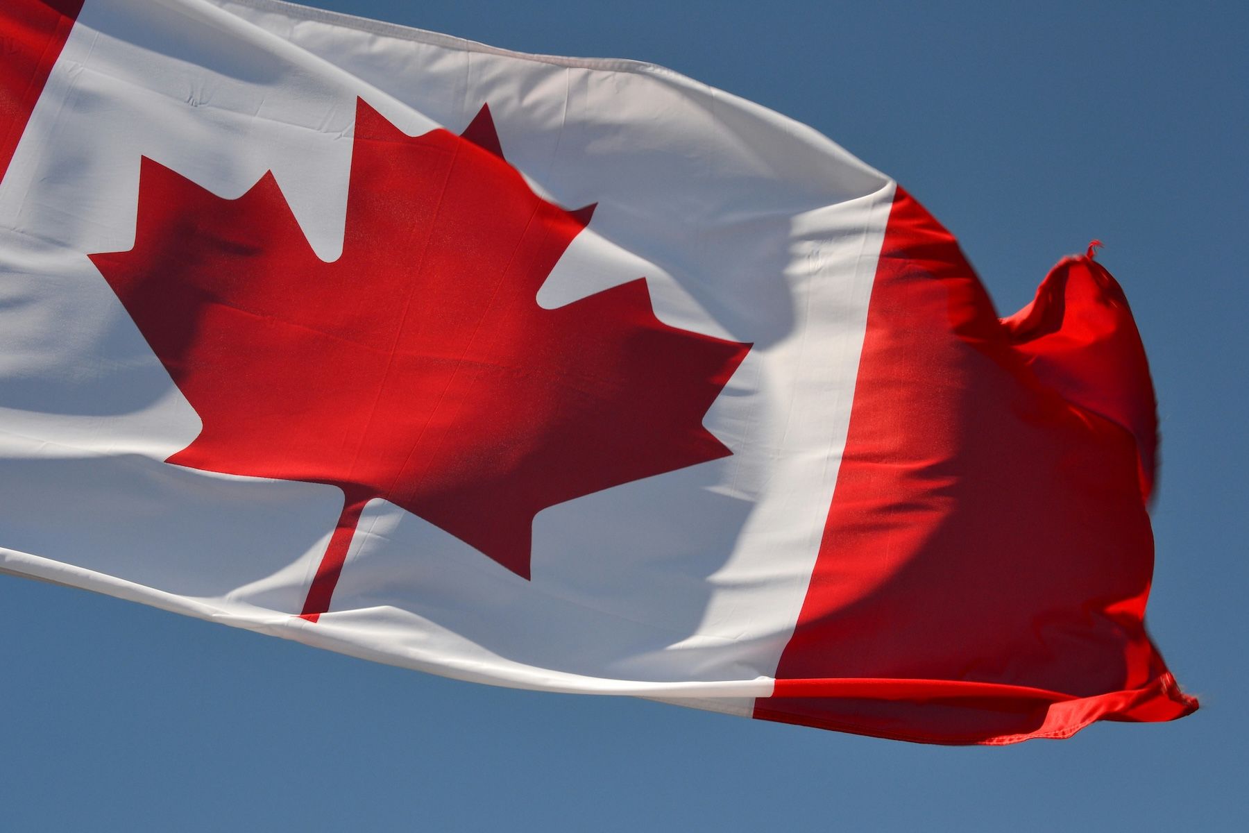 close detail of the red maple leaf on the Canadian flag