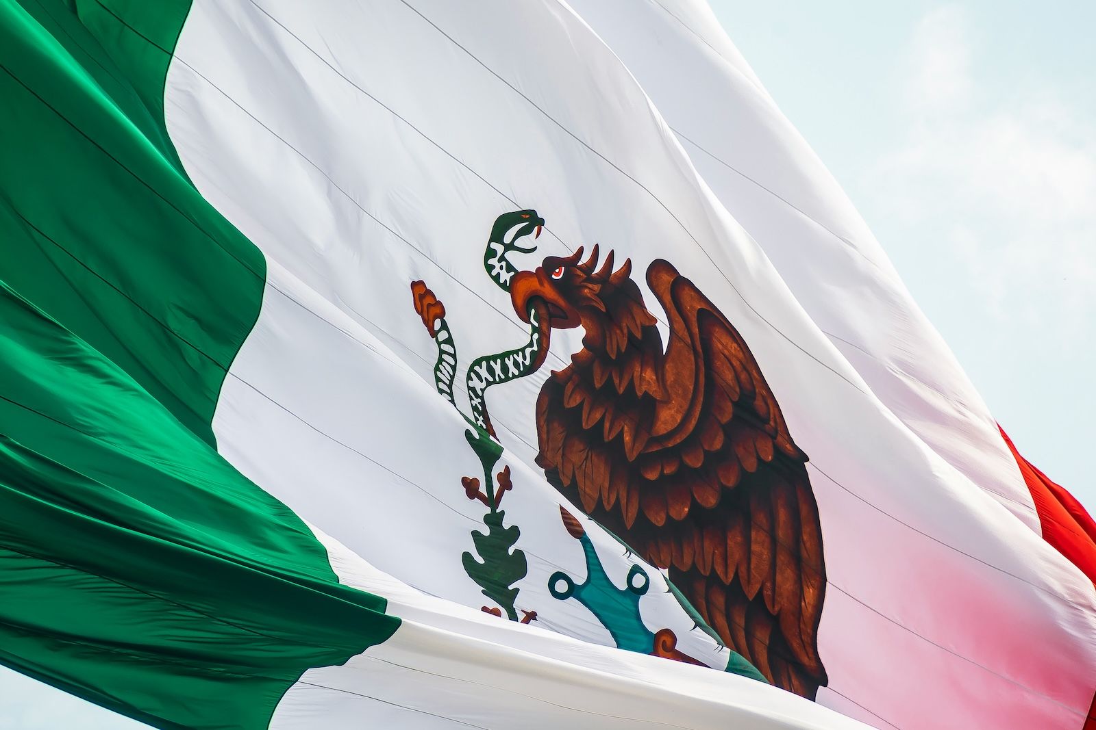 detail of the coat of arms of the mexican flag, focusing on the golden eagle holding a snake in its beak