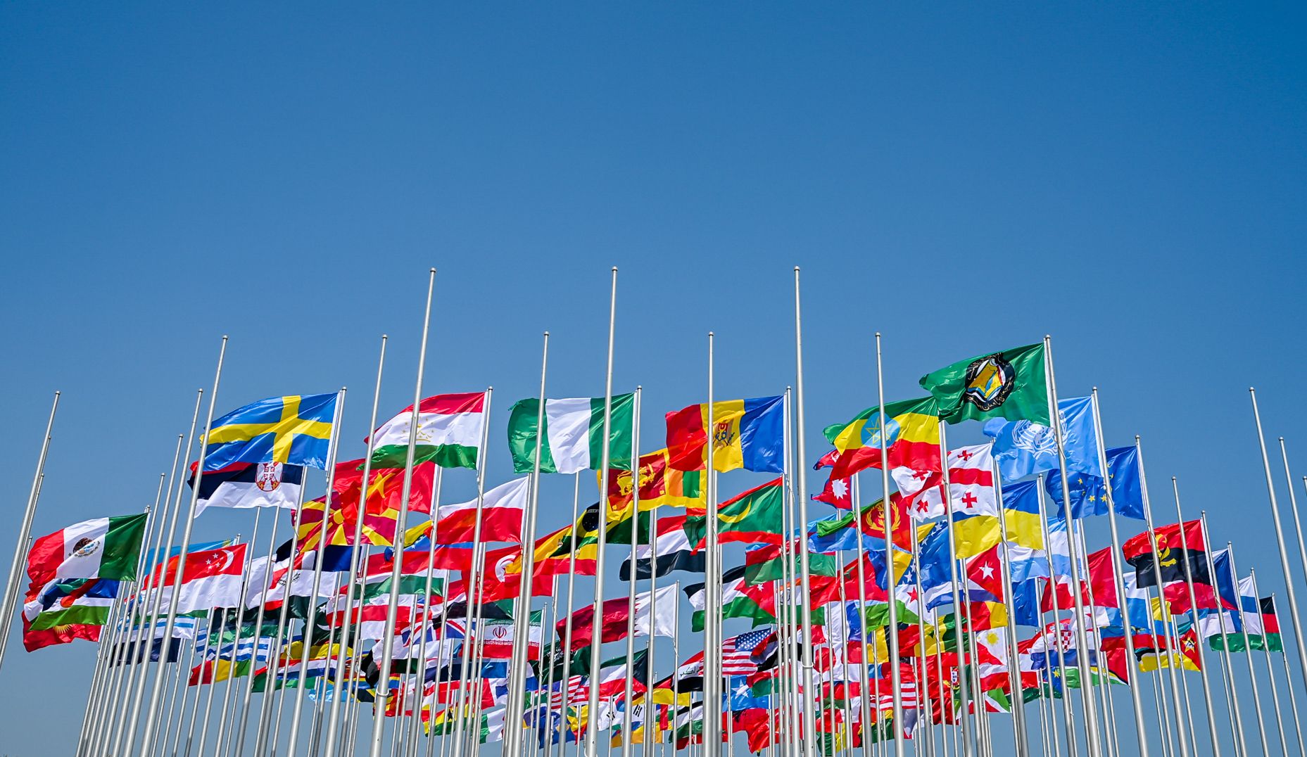 Bold colourful flags seen from below, waving against the brightest blue sky.