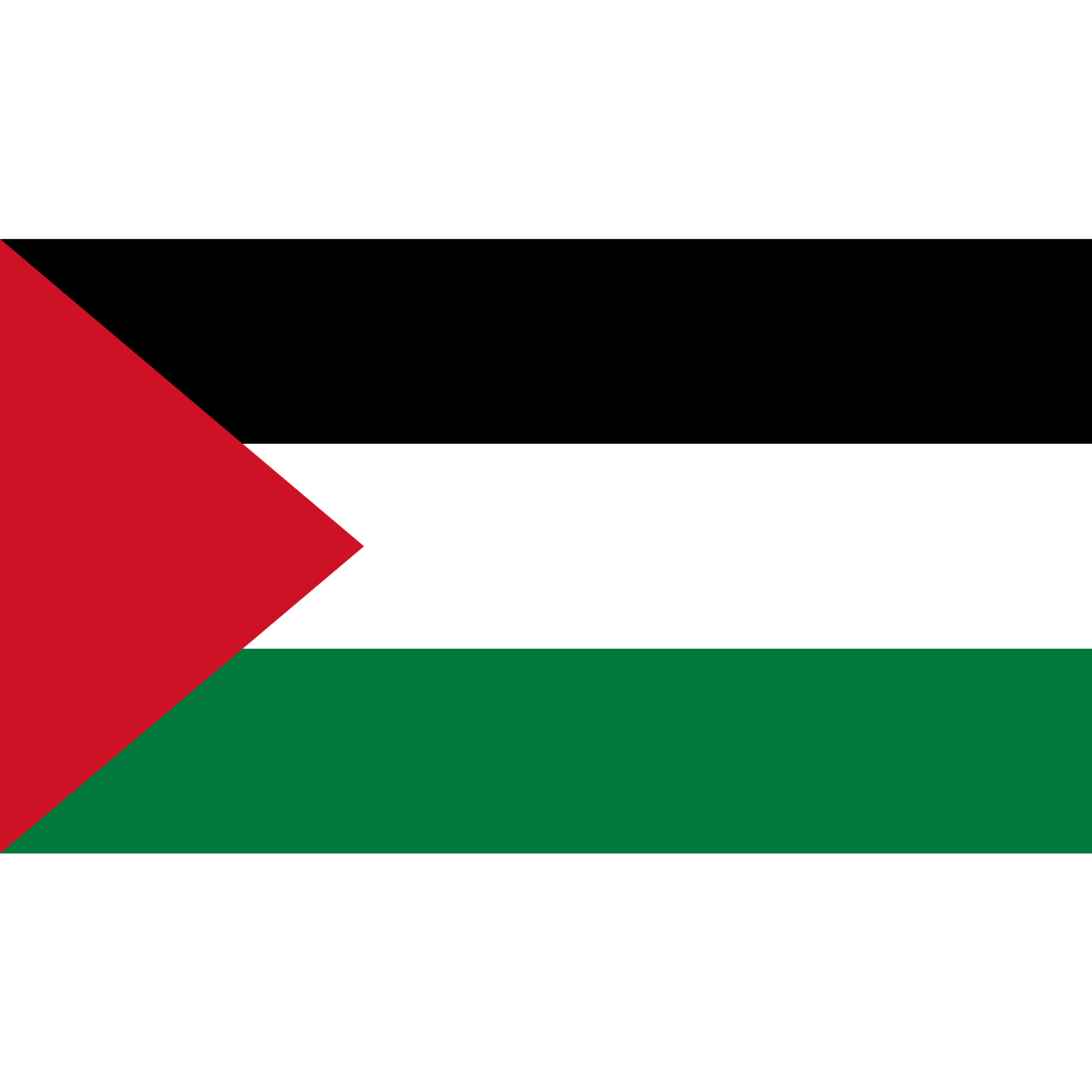 The Palestinian flag has three equal horizontal bands in black, white and green overlaid by a red triangle on the left side.