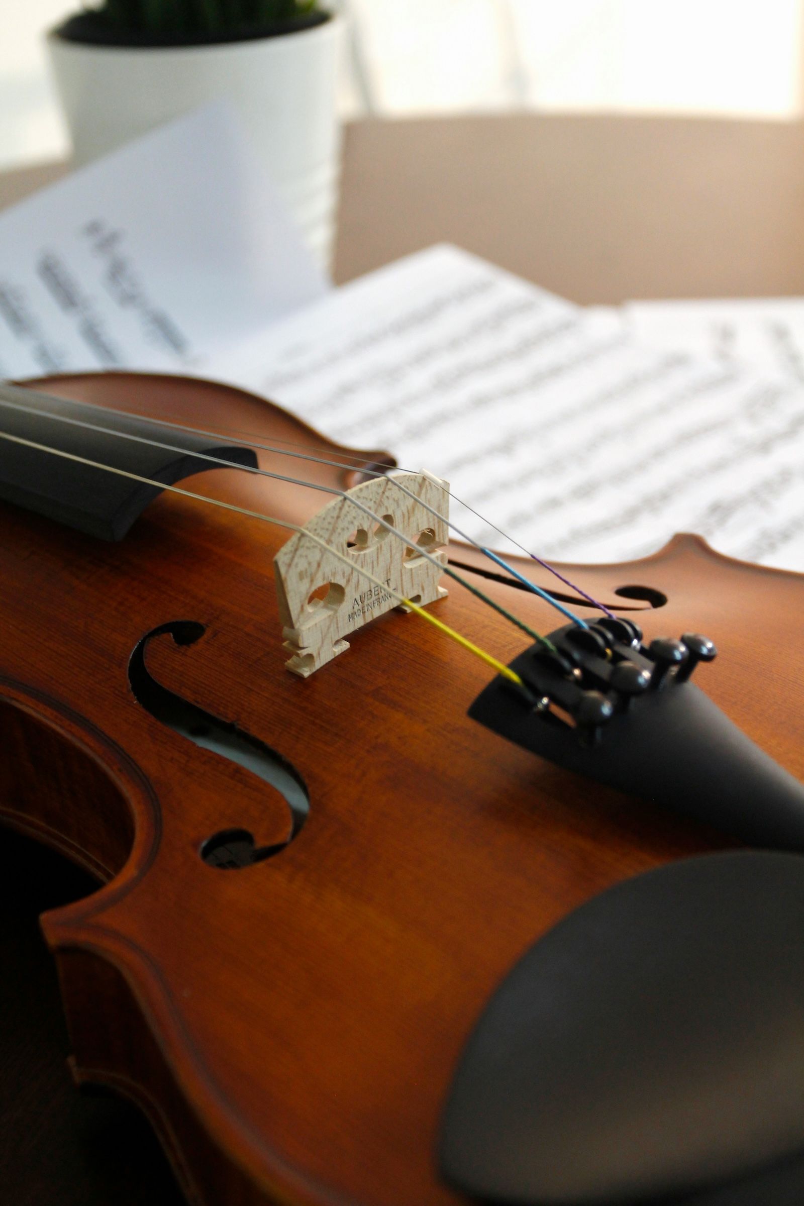 Philharmonic at the Library - Cordillera Sonora - Sound of the Mountains