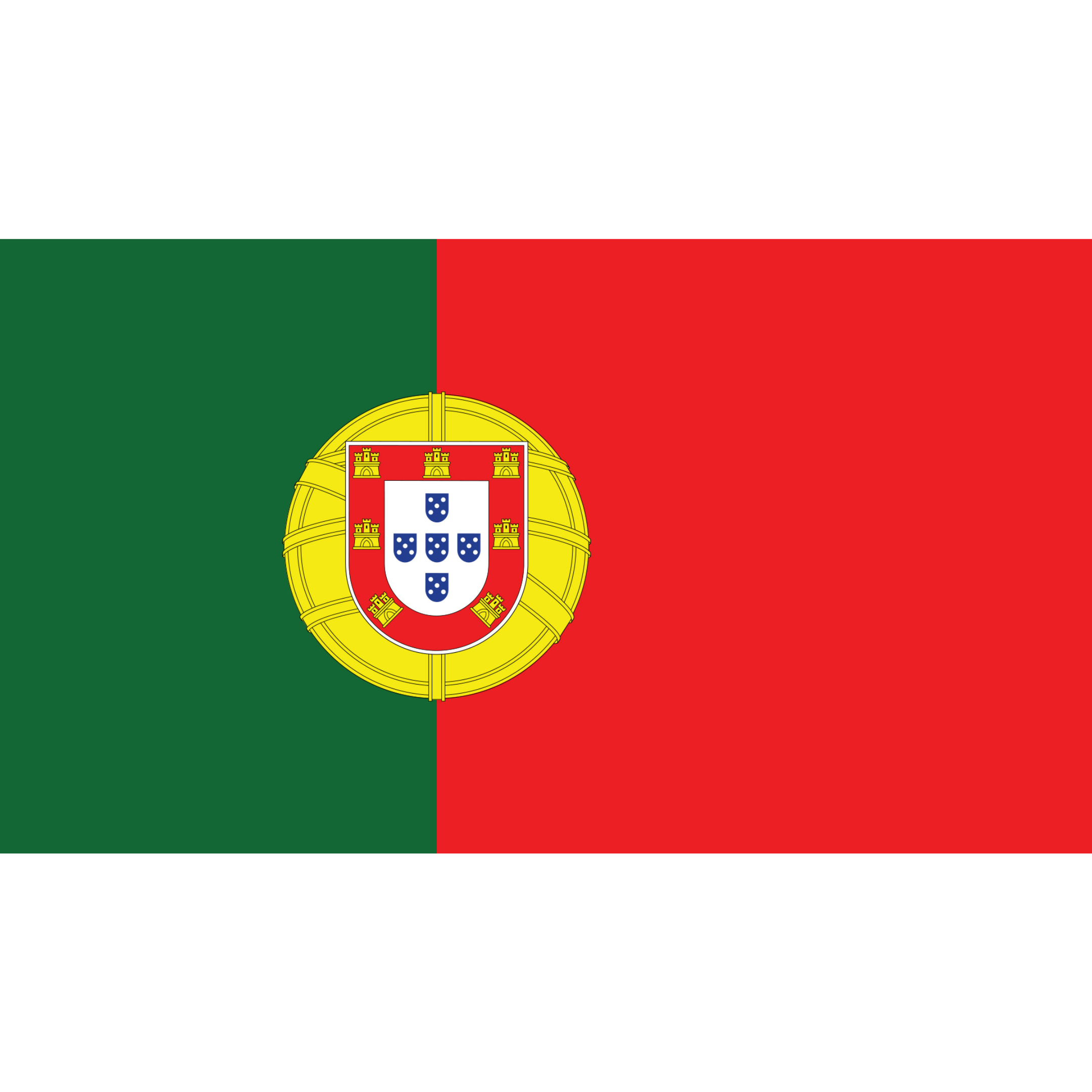 The Portuguese flag is divided into green on the right and red on the left, with the national coat of arms between them.