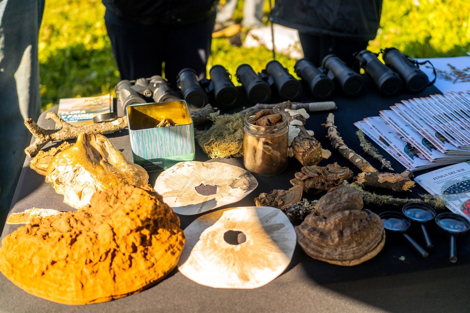 QM Volunteer Trip 2025 Article Chile - EN 3.jpg