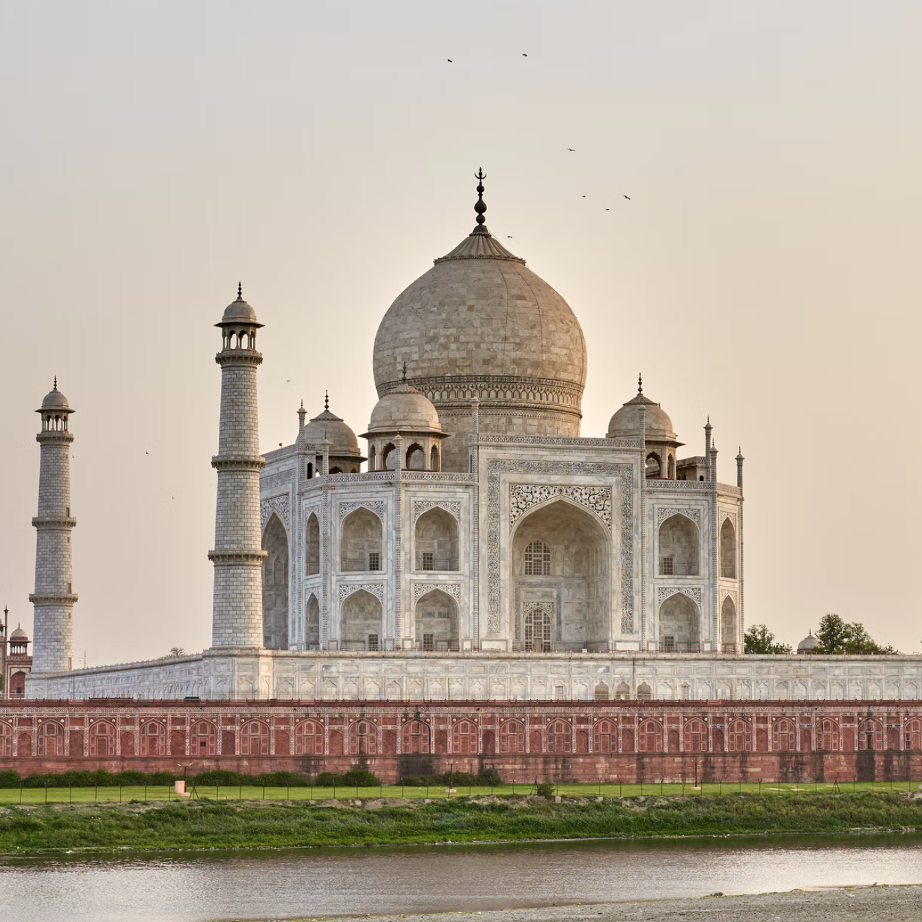  The Taj Mahal at sunset, an elegant white marble Indian monument, viewed from the side next to a grassy bank and river.