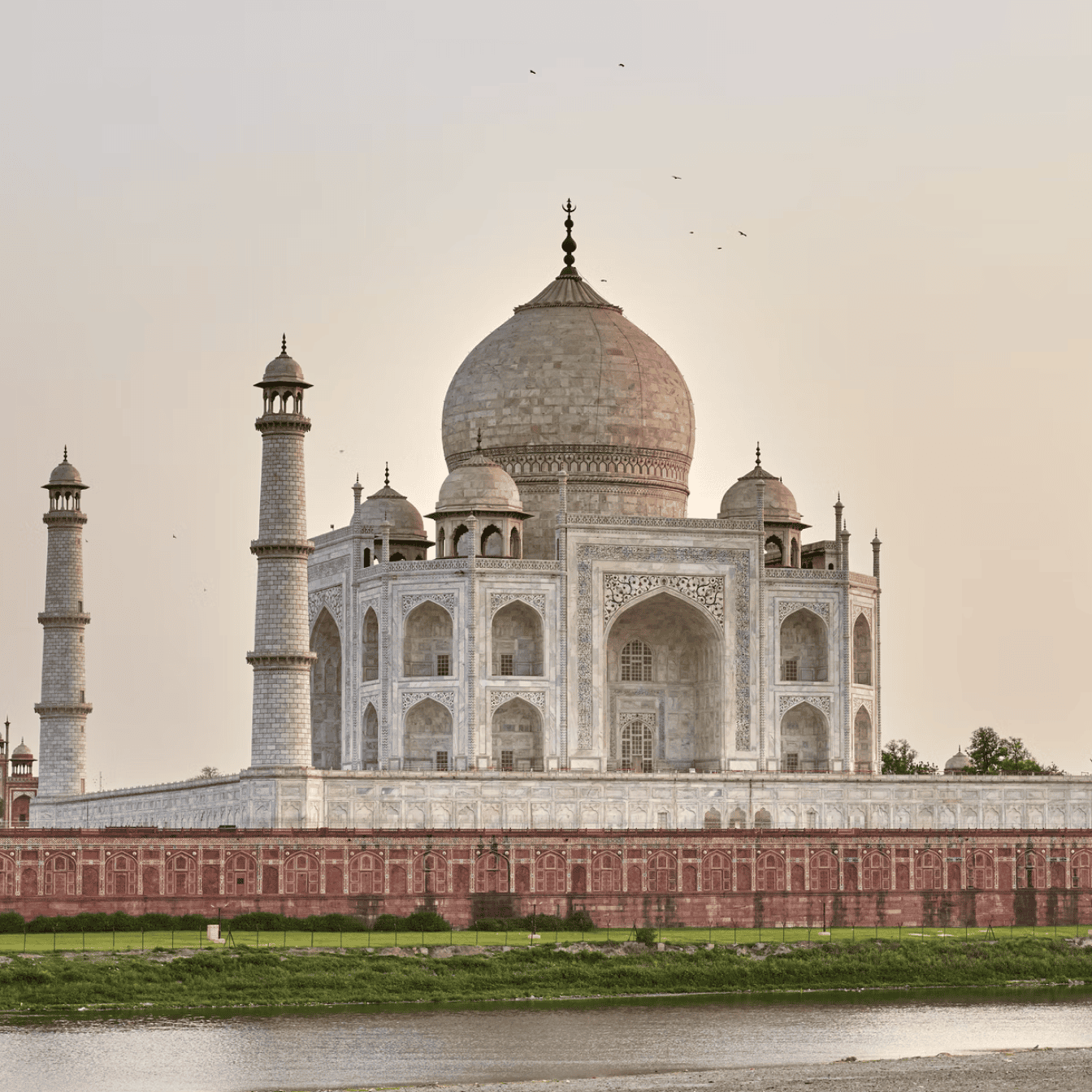 Qatar - India 2019