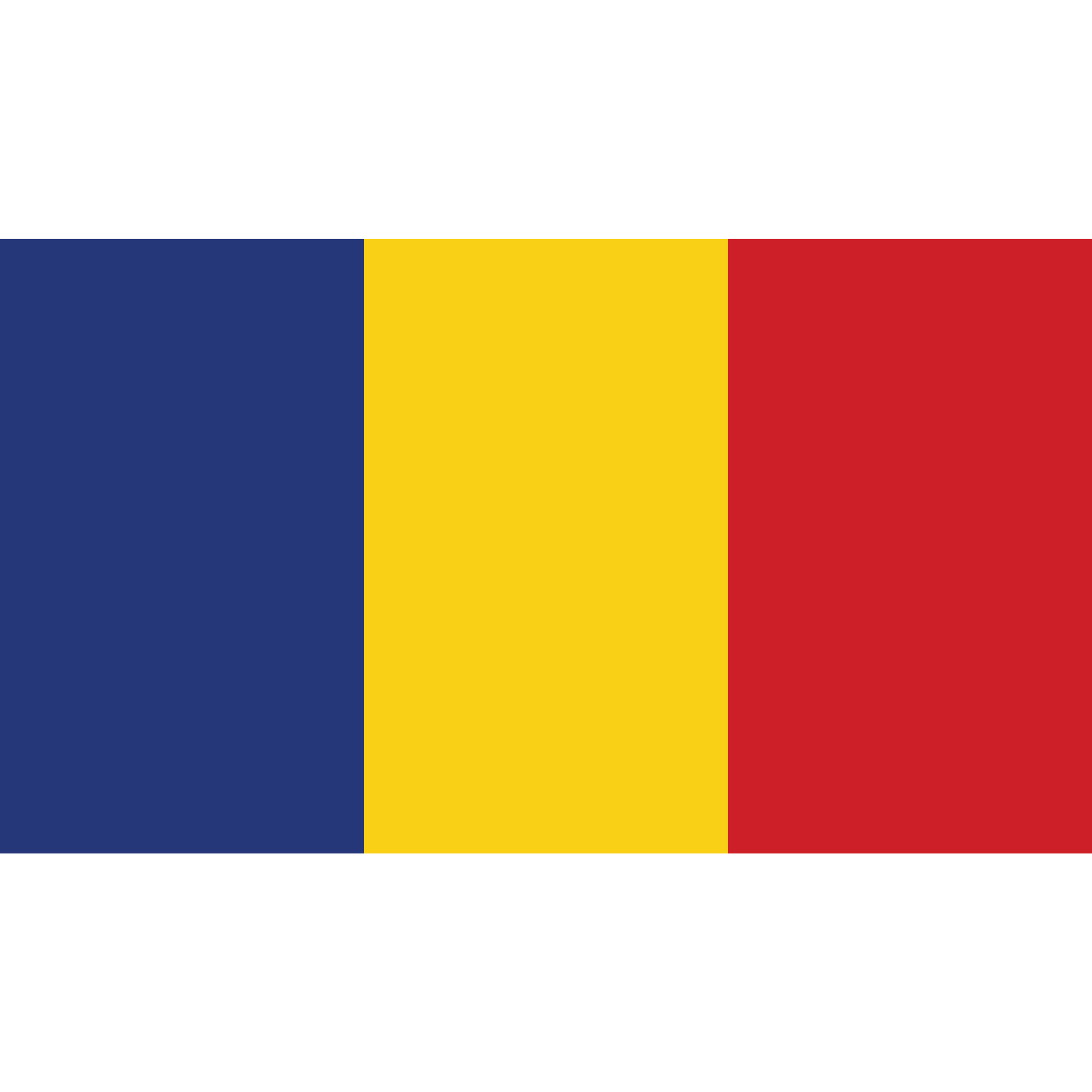 The Romanian flag is a tricolour with three equal vertical bands in blue, yellow and red.