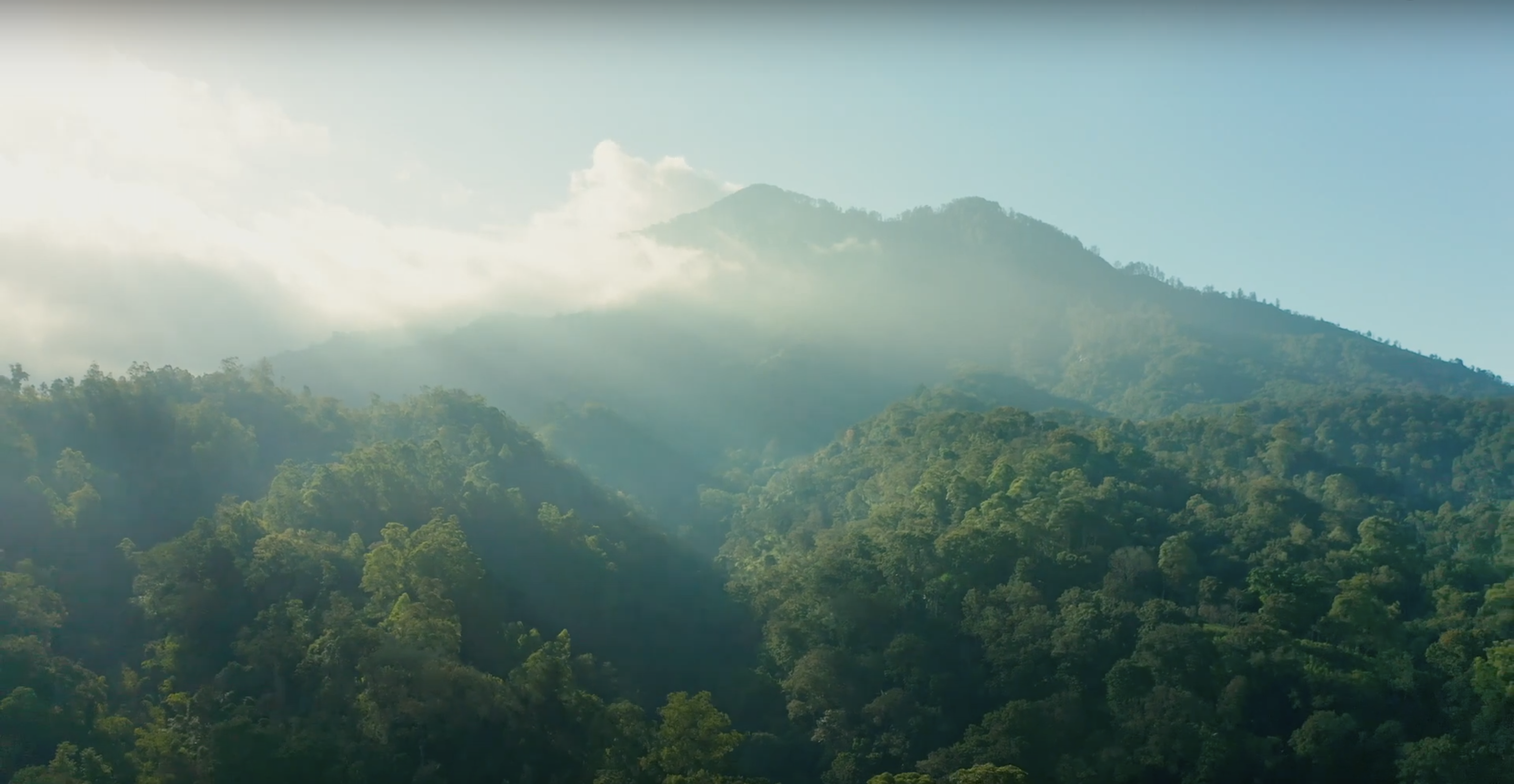 منظر جبلي وبركان في إندونيسيا مغطى بالغابات الخضراء، مع سماء زرقاء مشمسة.