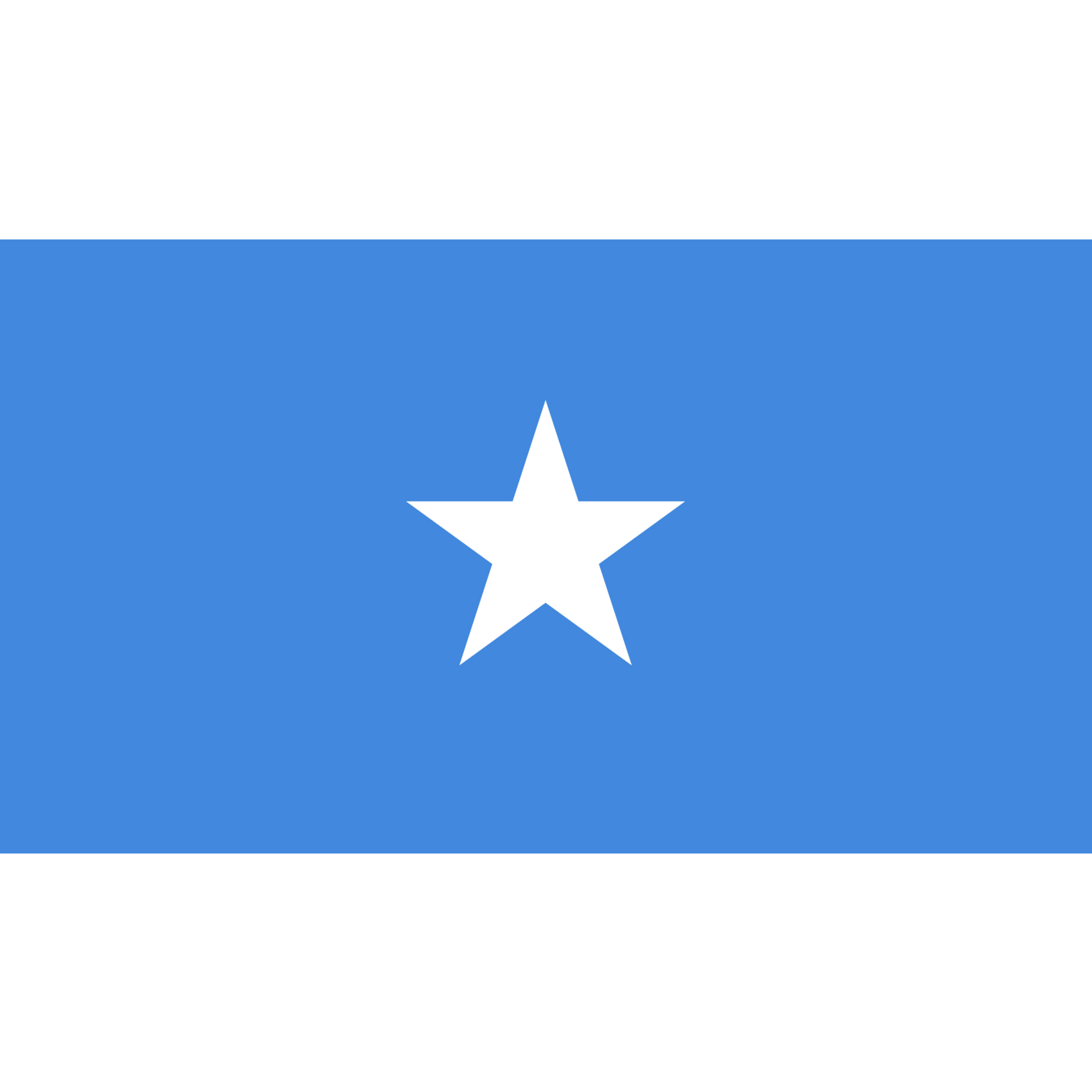 The flag of Somalia has a large five-pointed white star in the centre on a bright blue background.