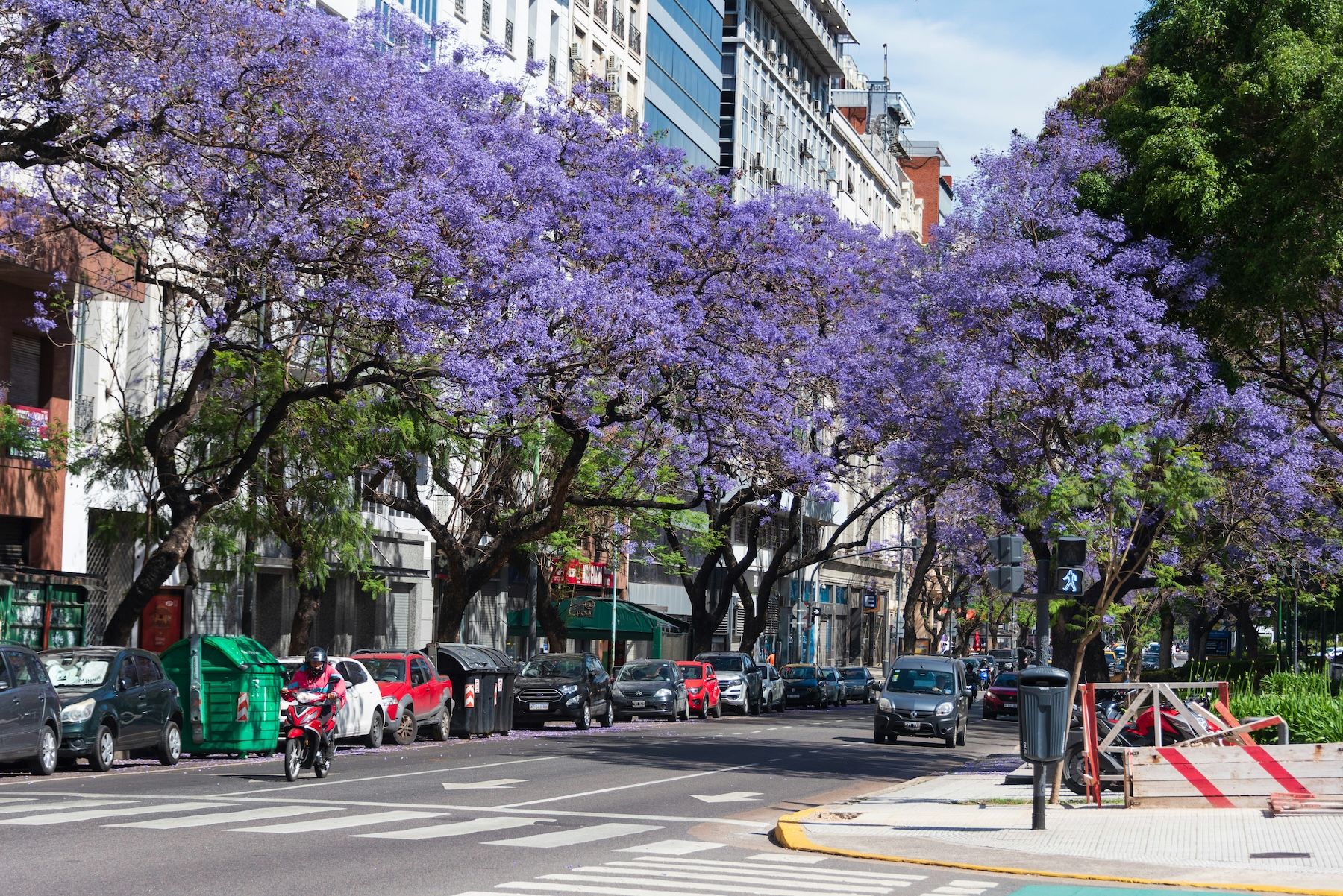 Things to Do in Buenos Aires - AR 12.jpg