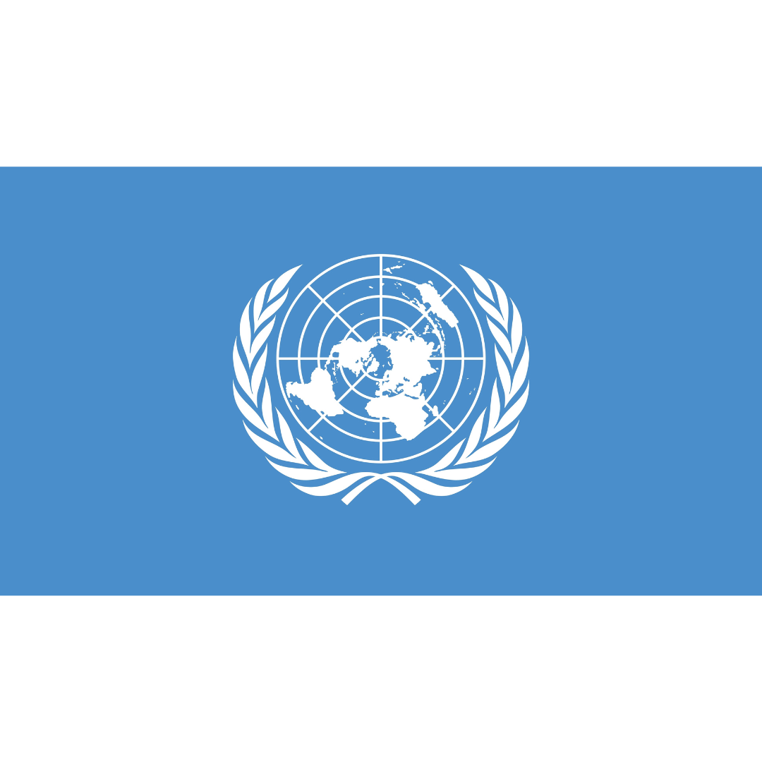The United Nations flag has a sky blue background with a white emblem between two white olive branches in the centre.