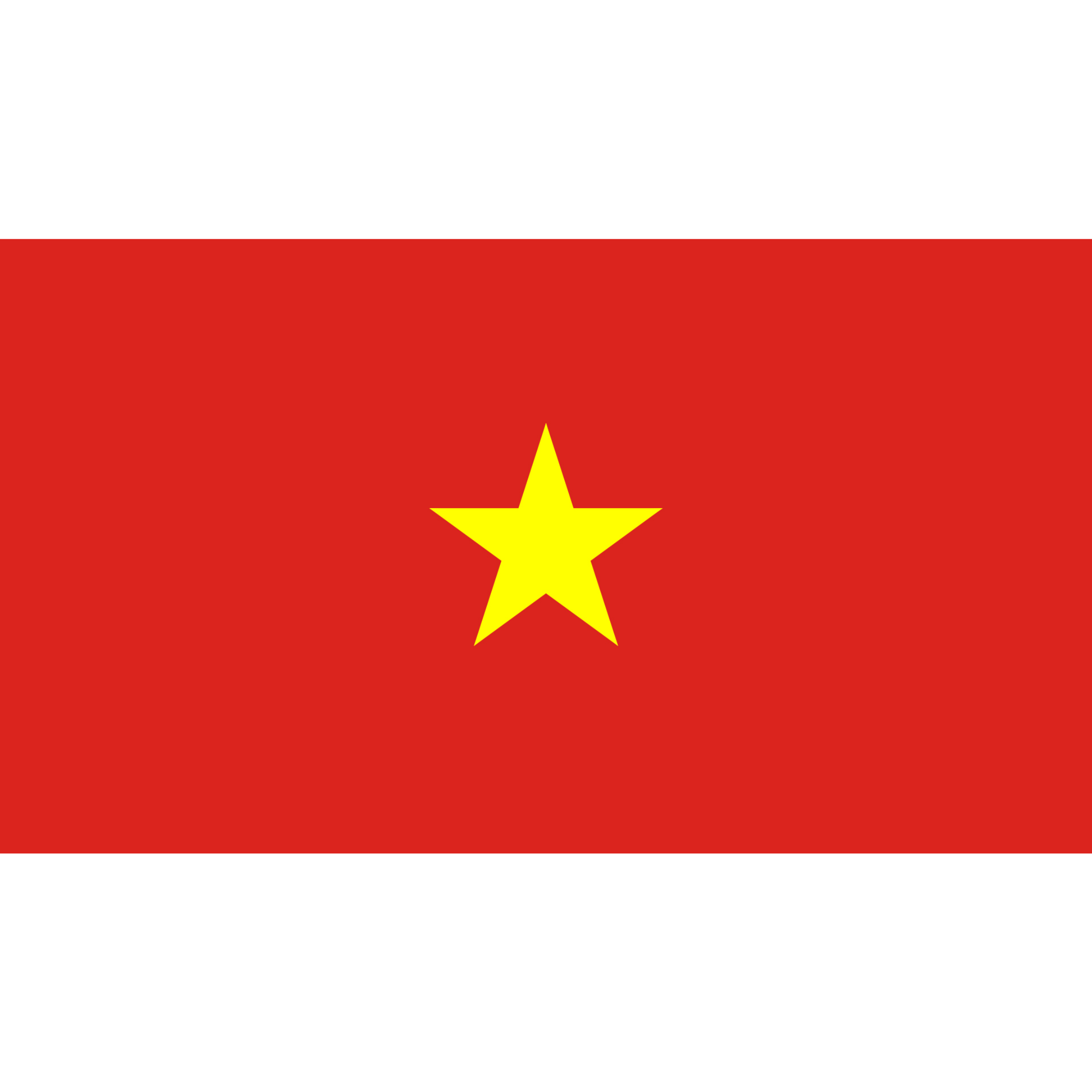 The Vietnamese flag is a red rectangle background with a gold star in the centre.