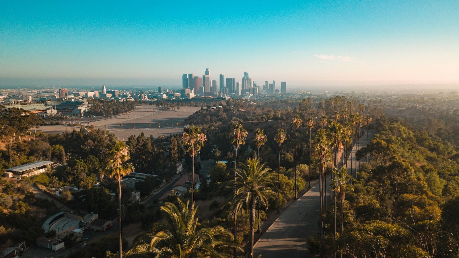 Los Angeles skyline with palm trees in the foreground