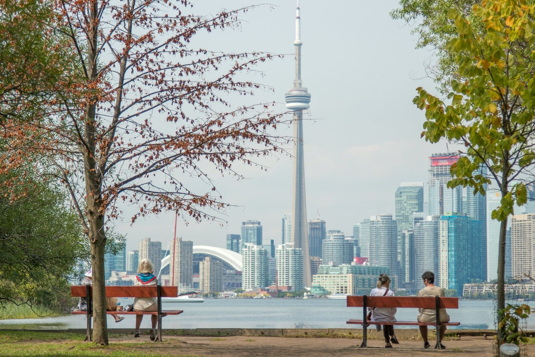 Toronto skyline, including the CN tower, with benches in a park in the foreground