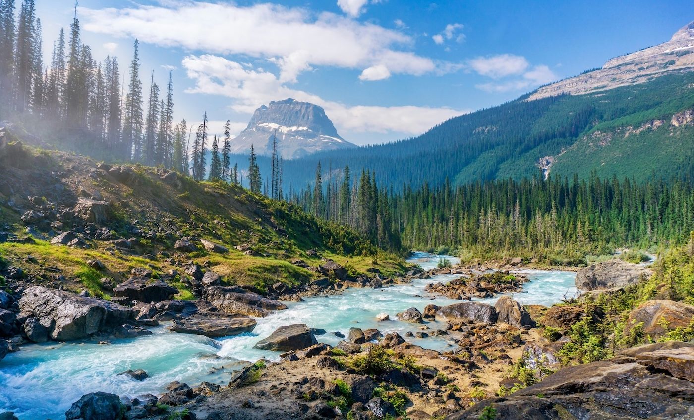 A vibrant turquoise river sliding through rocks towards the forest, in Yoho National Park in British Columbia, Canada.